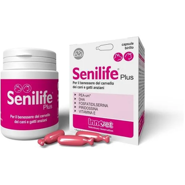 Senilife Plus Advanced Formula - 30 Capsule