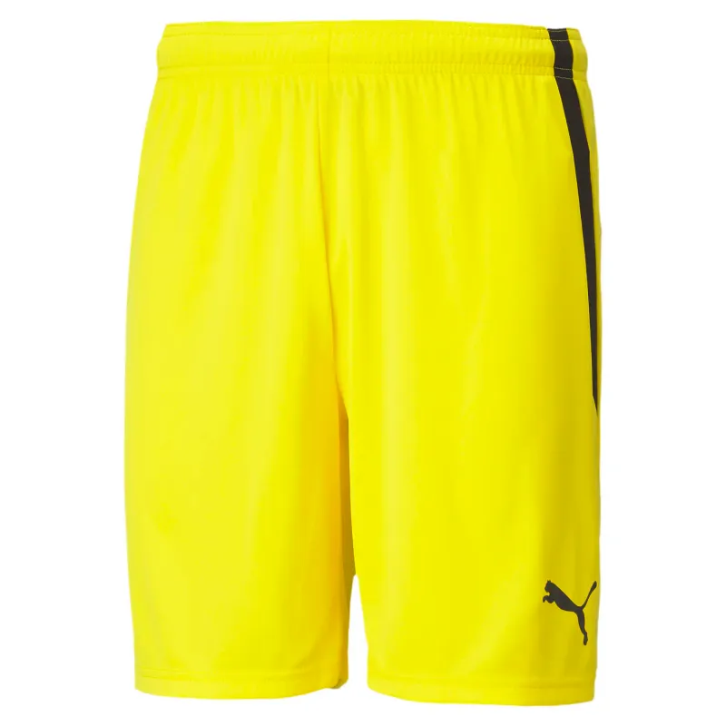 Pantaloncini Puma Team Liga