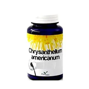 Chrysantellum Americanum - 60 Capsule di Supporto Naturale