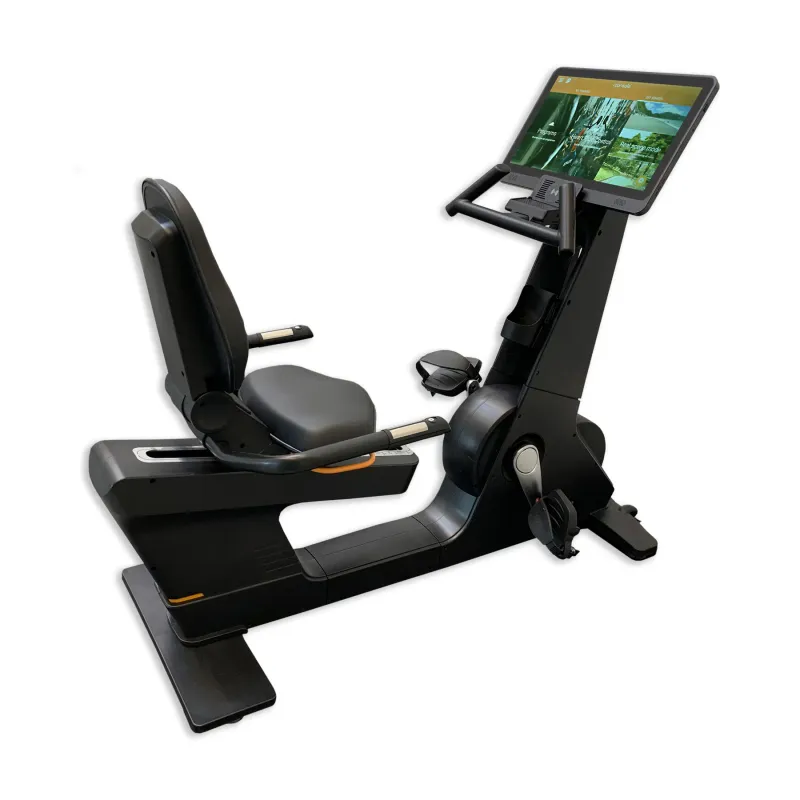 Cyclette DKN Technology RB Pro