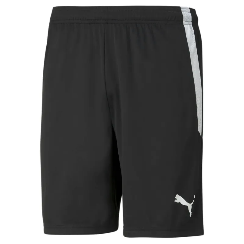 Pantaloncini Puma Team Liga
