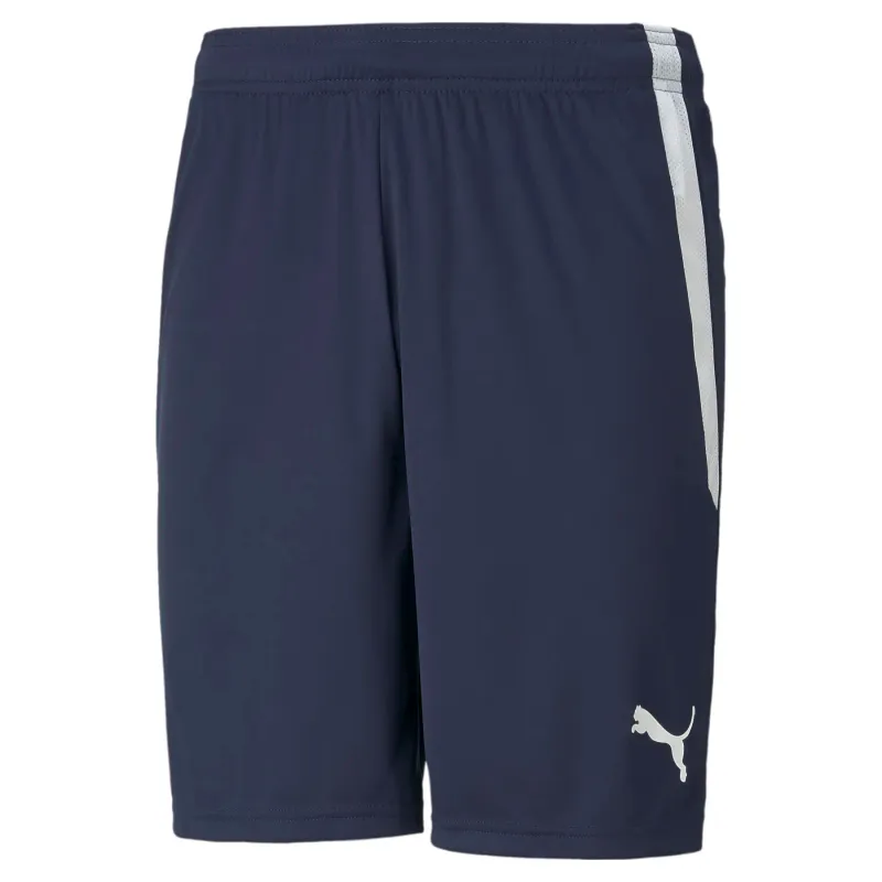 Pantaloncini Puma Team Liga