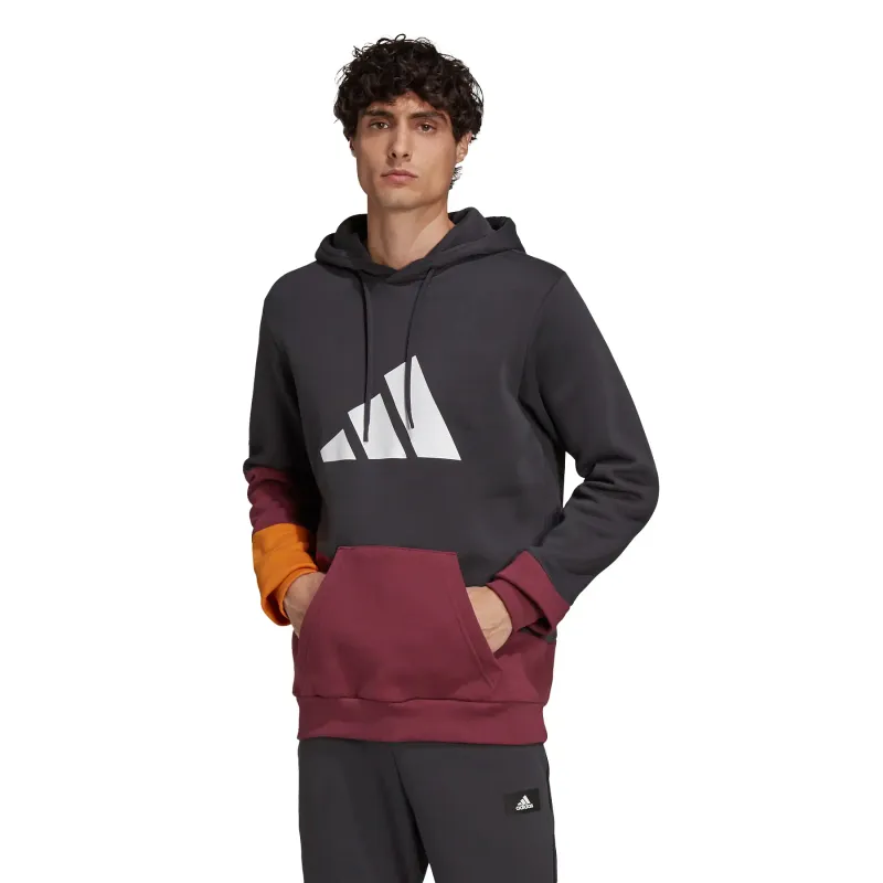 Felpa con cappuccio adidas Sportswear Colorblock