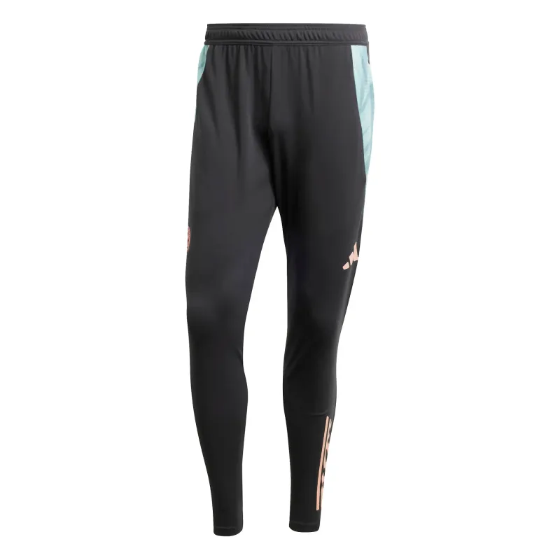 Pantaloni da allenamento Bayern Munich Tiro 2024/25