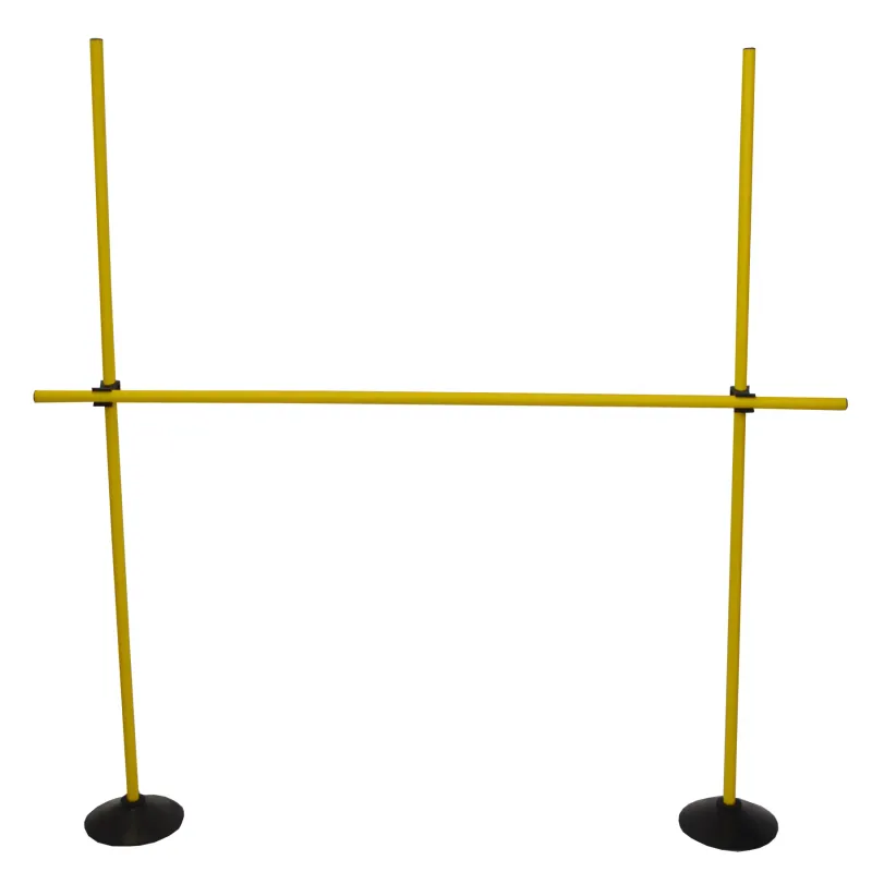 Kit di allenamento con pesi Sporti