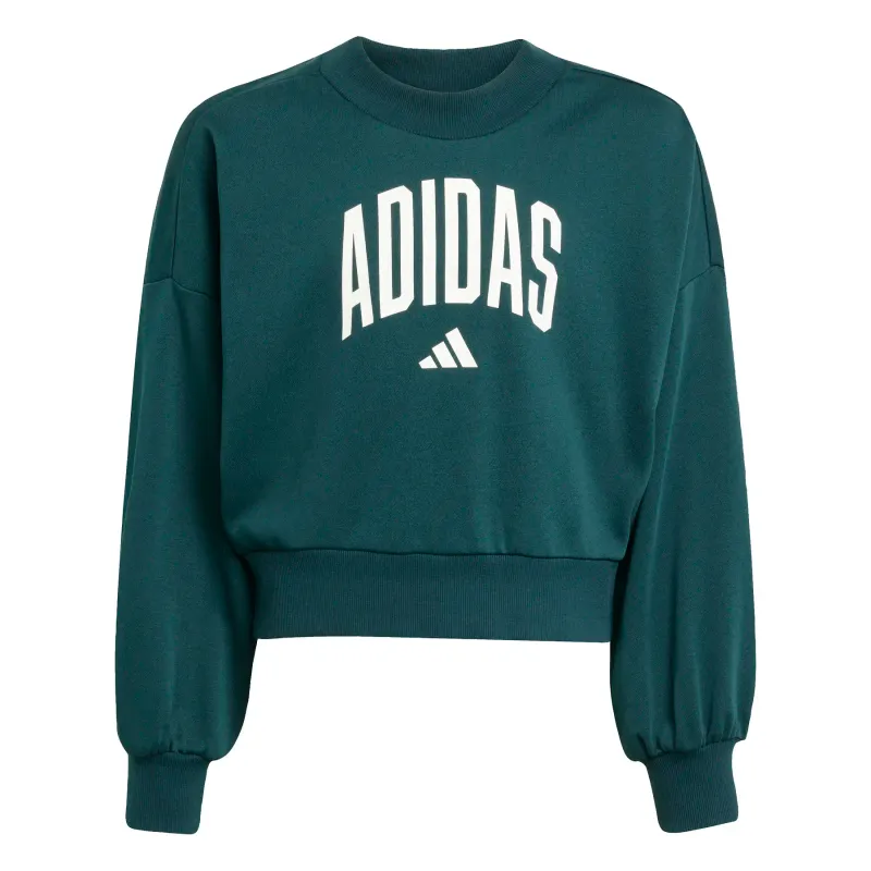 Felpa da bambina adidas Essentials Collegiate Typography
