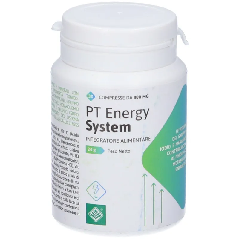 Pt energy system 30 compresse