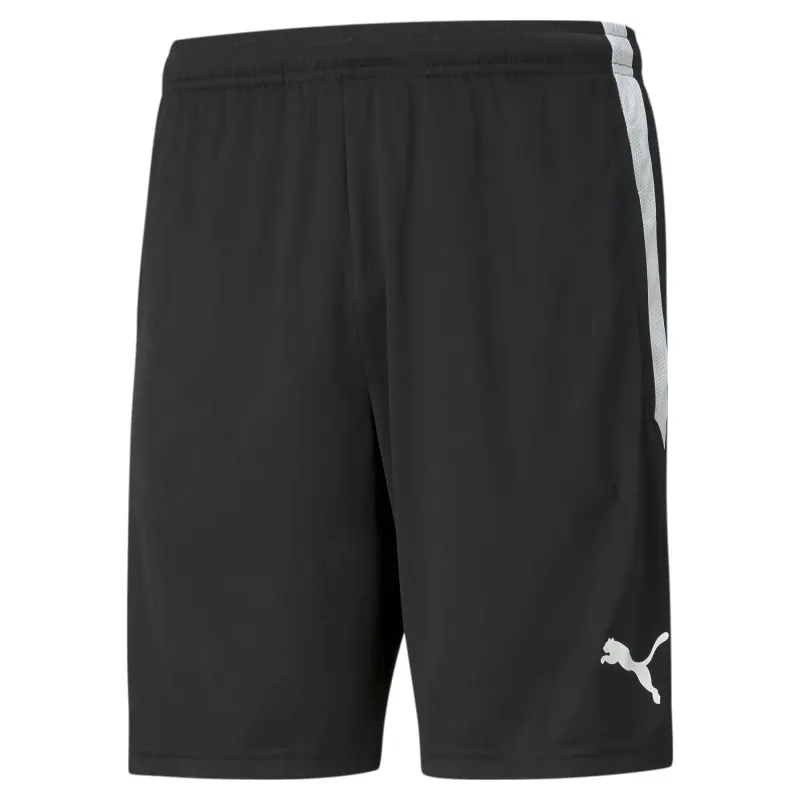 Pantaloncini Puma Team Liga Training