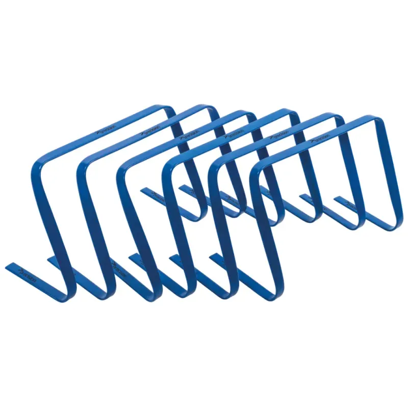 Siepe piatta Precision (x6)