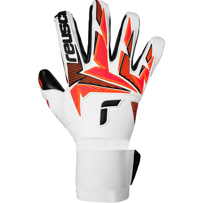 Guanti portiere Reusch Attrakt Freegel Gold X