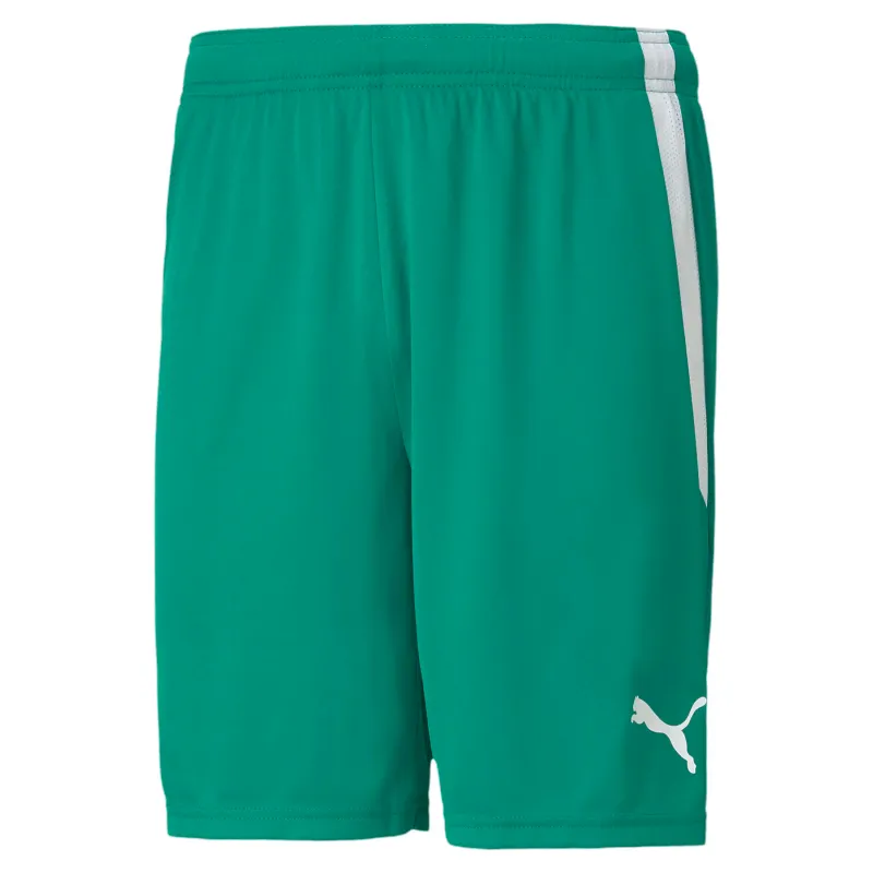 Pantaloncini Puma Team Liga